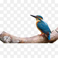 ������ӰҰ����Ϣ��С��-������