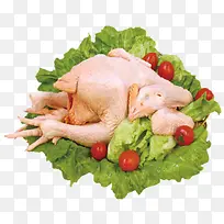 美食芦花鸡-空若网 美食芦花鸡-空若网