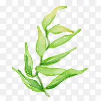 Ë®²ÊÂÌÒ¶-¿ÕÈôÍø Ë®²ÊÂÌÒ¶-¿ÕÈôÍø