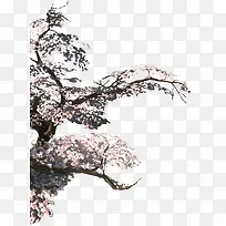 意境水墨梅花树图片-空若网 意境水墨梅花树图片-空若网