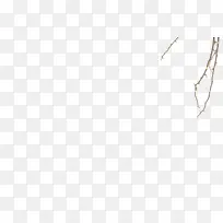 森系树枝-空若网 森系树枝-空若网