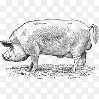 �ֻ���-������