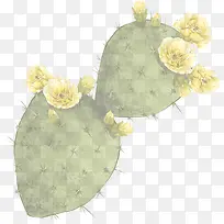 手绘开花仙人掌海报-空若网 手绘开花仙人掌海报-空若网