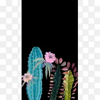 手绘插画仙人掌开花-空若网 手绘插画仙人掌开花-空若网