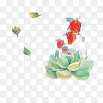 多肉开花图片素材-空若网 多肉开花图片素材-空若网