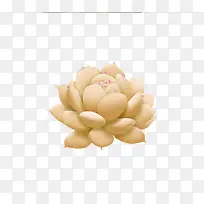 手绘多肉-空若网 手绘多肉-空若网