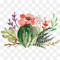 �����ƿ�������ֲ��-������