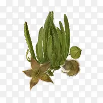 �ֻ濪����«��-������