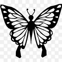 蝴蝶元素-空若网 蝴蝶元素-空若网