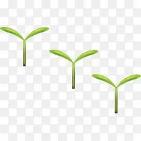 小豆苗-空若网 小豆苗-空若网