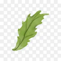 ��ͨ����Ҷ-������