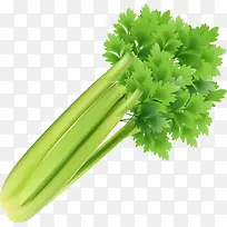 健康绿色蔬菜-空若网 健康绿色蔬菜-空若网