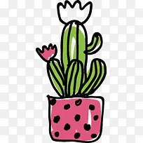 粉红色盆栽开花仙人掌-空若网 粉红色盆栽开花仙人掌-空若网