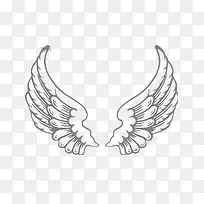 素描翅膀矢量图-空若网 素描翅膀矢量图-空若网