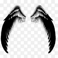 黑白相间长天使翅膀-空若网 黑白相间长天使翅膀-空若网