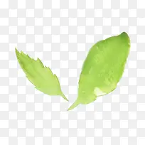 �ֻ���Ҷ-������