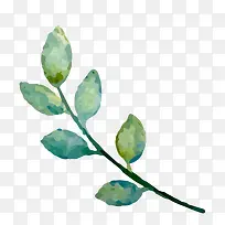 ֦��-������