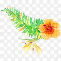 �ȴ�ֲ��-������