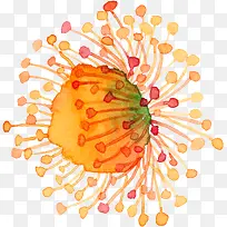 ˮ�ʻ��ﻨ��-������