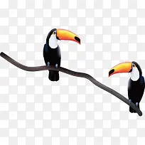 Õ¾ÔÚÊ÷Ö¦ÉϵĴó×ìÄñ-¿ÕÈôÍø Õ¾ÔÚÊ÷Ö¦ÉϵĴó×ìÄñ-¿ÕÈôÍø