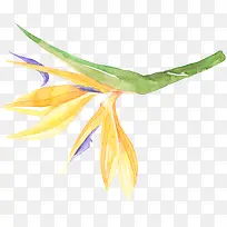 水彩黄色的花-空若网 水彩黄色的花-空若网