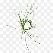 �ݻ�-������