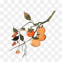 ˮ��ʳ��-������