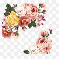 花朵唯美插画矢量-空若网 花朵唯美插画矢量-空若网