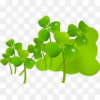 ��Ҷ��-������