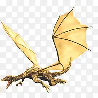 带翅膀恐龙-空若网 带翅膀恐龙-空若网