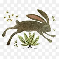 复古手绘卡通兔子-空若网 复古手绘卡通兔子-空若网