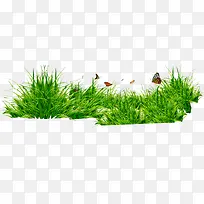 草和蝴蝶春日美景矢量图-空若网 草和蝴蝶春日美景矢量图-空若网