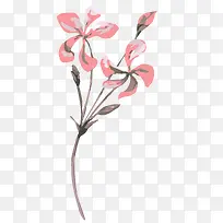 水彩花朵-空若网 水彩花朵-空若网