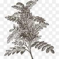 �ֻ���֦-������