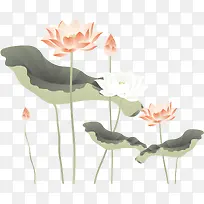 手绘盛开的荷花插图矢量图-空若网 手绘盛开的荷花插图矢量图-空若网