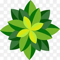 �Գƻ���ɫ��ͨʸ����ֲ-������