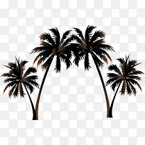 槟榔树对称-空若网 槟榔树对称-空若网