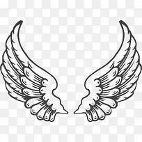 翅膀-空若网 翅膀-空若网