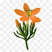 ������ʸ���ز�-������