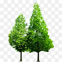 创意草本植物素材绿色-空若网 创意草本植物素材绿色-空若网