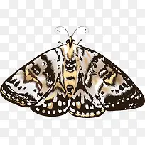 �ֻ����-������