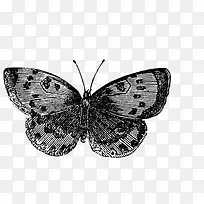 �ֻ����-������