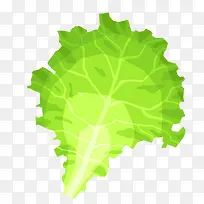矢量卷心菜叶子-空若网 矢量卷心菜叶子-空若网