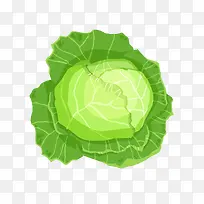 矢量卷心菜叶子-空若网 矢量卷心菜叶子-空若网