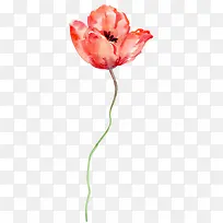 水彩花朵-空若网 水彩花朵-空若网