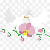 爱情鸟-空若网 爱情鸟-空若网