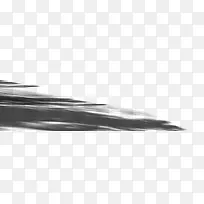 树的影子-空若网 树的影子-空若网