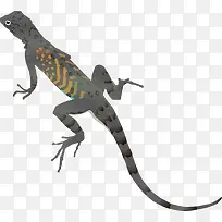 ��ɫ��������-������