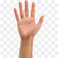 高清五个手指手势-空若网 高清五个手指手势-空若网