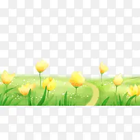 草地上的郁金香-空若网 草地上的郁金香-空若网